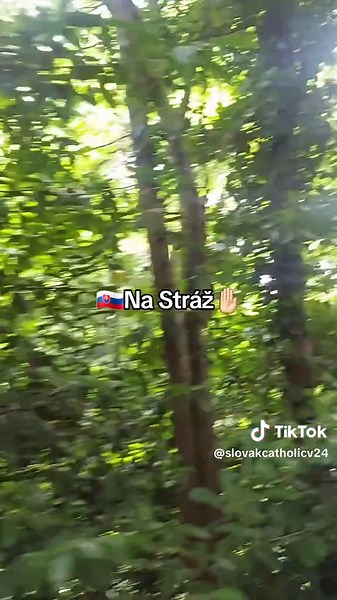 #slovensko #sk #🇸🇰 #fypviralシ