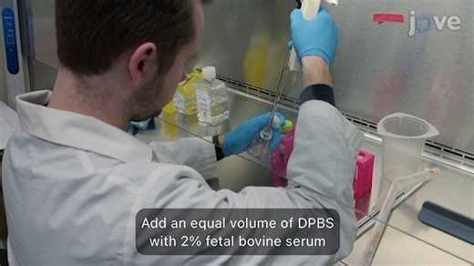 JoVE科研：生成人类嵌合抗原受体调节性 T 细胞