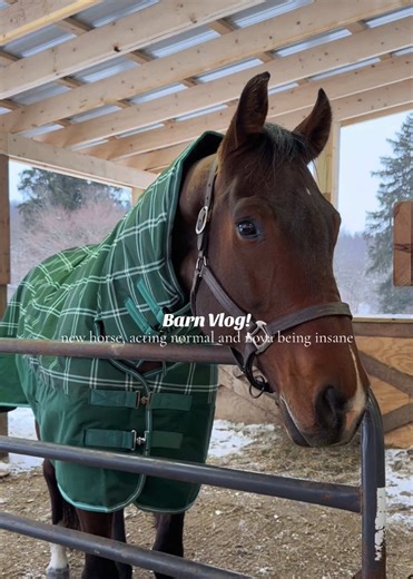 Two Great Days in One Week: Equestrian Adventures