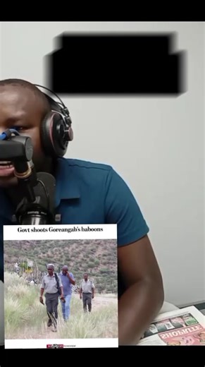 Government Baboons Shooting Update in Windhoek