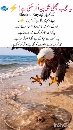 This fish can produce electric shock ⚡🐟 #ElectricFish #ElectricRay #SeaCreatures #ytshorts #viral