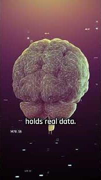 What is the storage capacity of the human brain?