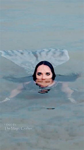 Why would a selkie even WANT to come on land?