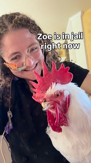 Zoe Rosenberg on Instagram: "For saving four chickens from Perdue’s Petaluma Poultry, Zoe is sitting for 23 hours per day in a solitary jail cell. Demand freedom for Zoe and Justice for animals at FreeZoe.org #freezoe"