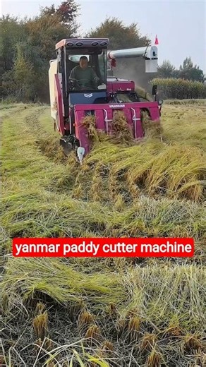 yanmar paddy cutter machine 🔥#shorts #yanmar #combineharvester