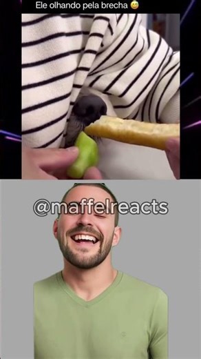 Maffel Reacts #memes #funnymemes #funny