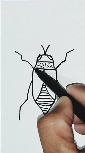 How to draw an insect #insects #drawing