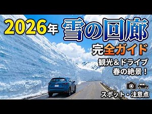 [2026 Latest] An overwhelming scale! A guide to sightseeing and driving in the "Snow Corridor," a...