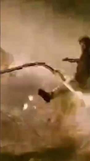 mlwbd.com RRR short Action