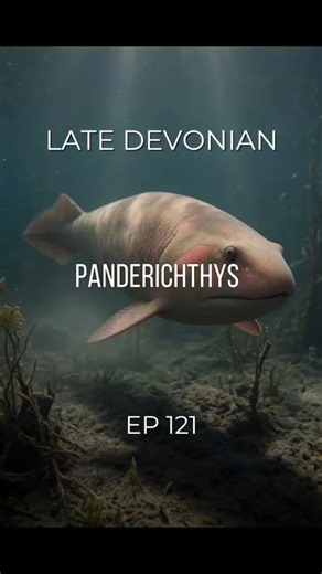 Panderichthys | Late Devonian — EP 121