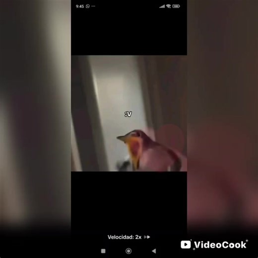 Videos de Minecraft JD (@jesusmanuel9963) con “sonido original - Minecraft JD”