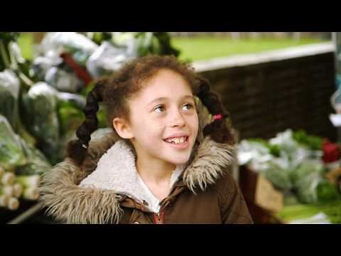 "Down on the farm" at Spring Farm Alpacas