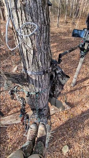 Saddle Hunting setup.