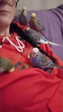 Five birds on my person