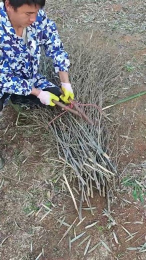 Double Stick Binding Technique - Practical and Efficient!