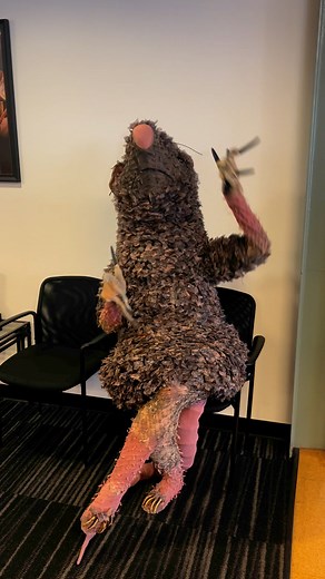 🎟️ Need help booking your Nutcracker tickets? Don’t worry, our furry friend's got you. ✅ Reserve your seats today. | Ballet Arizona