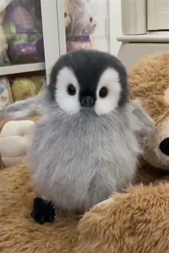 Do a magic trick💫 little penguin changes#penguin #penguins #plushtoys #handmade #gift #dolltoys