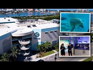 Behind the Scenes at Clearwater Marine Aquarium | Waterbox Aquariums Team Visit