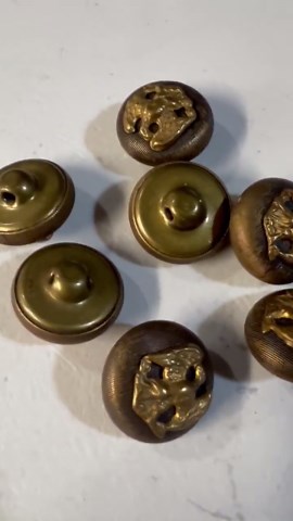 Vintage Brass Eagle Shank Buttons: Military Style Blazer Replacement Lot - Etsy