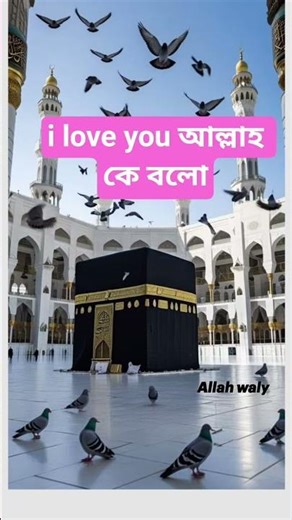 #i love you আল্লাহ কে বলো#ইসলামিক_শর্ট_ভিডিও #ইসলাম #ইউটিউব #ইসলামিক_ওয়াজ