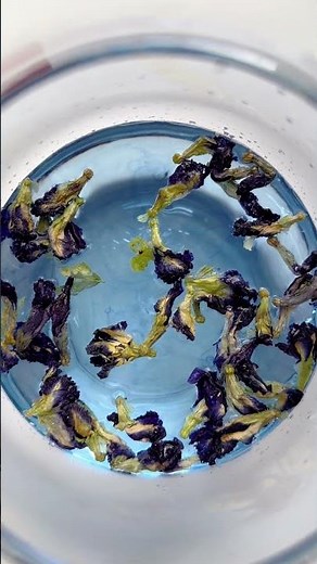 Magical Butterfly Pea Tea 🌿💜 Watch the Color-Changing Wonder!