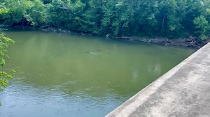 Washington County Government - Maryland on Reels