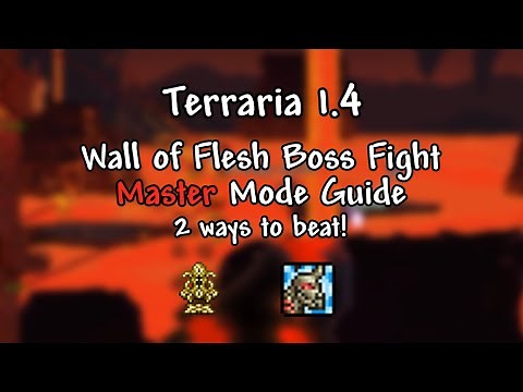 Wall of Flesh Master Mode Guide | Terraria 1.4
