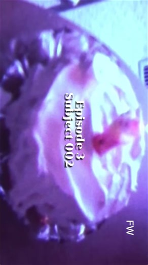 Episode 3 Recap of The Stranger Things Project