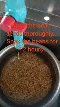 How to grow beans in a container