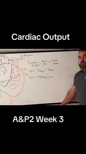 Understanding Cardiac Output in Nursing Physiology