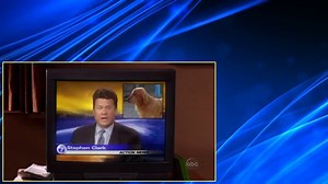 8 Simple Rules S2E12   Consequences