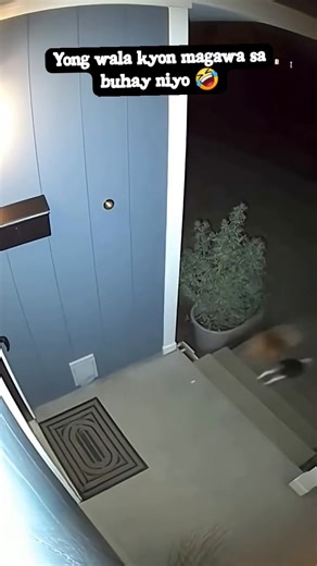 4.9M views · 67K reactions | Run dayun 藍 #contentcreator2025 #everyoneシ゚ #highlightseveryonefollowers2025highlightseveryonefollowers2025 #highlightsシ゚ #highkights | Boss Alreh Vlog | Facebook