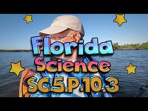 Science SC.5.P.10.3 Electrically Charged Objects