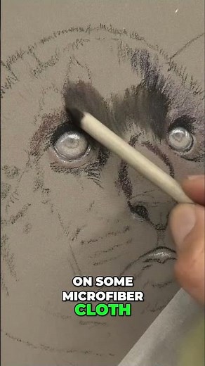 Soft pastel lesson for beginners - draw animals #arttutorial