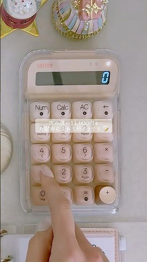 11月4週目お財布リセット（生活費）🫧