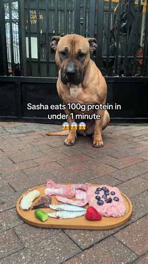 Sasha's 100g Protein Challenge in Under 1 Minute