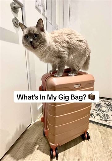 What's In My Gig Bag: Essential Music Equipment Unboxing