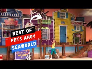 Best of SeaWorld Pets Ahoy Show | Highlights of the Cat and Dog Show