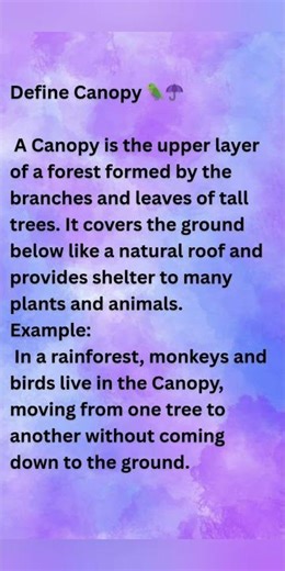 Define Canopy 🦜☂️#define #definition #canopy #forest #example #birds #monkeys #leaves #trees #viral