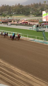 The field for the Big Cap’ goes around the first turn at Santa Anita Park. 👀 | MyRacehorse