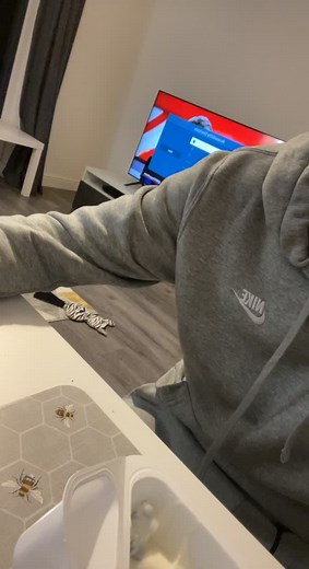 Adorable Fox Red Labrador Puppy with the Right Attitude 🐾