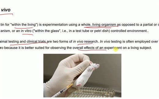 In silico 、In Vitro 、Ex Vivo 、In Vivo实验的区别