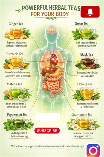 8 Best Teas for Digestion, Immunity & Metabolism. #short #teas #healthdrinks