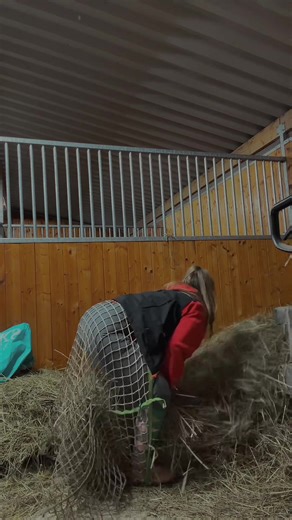 Embracing Epic Fails: The Fun of Disaster Videos