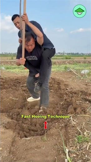 The Best Hoeing Technique in the World