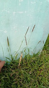 Sticker hunt guys good luck #tutokbarok | Tutok BAROK