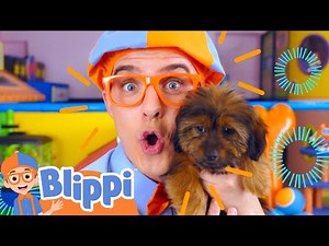 Blippi plays with Puppies ! | Animal Videos | Educational Videos for Kids