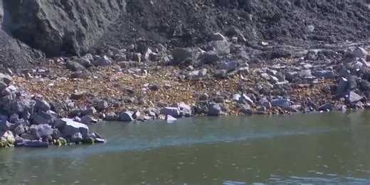 Minnesota River Bank Stabilization project continues