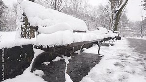 Winter background of snow covered plants trees and branches in the city park on cold day. White snowfall in nature