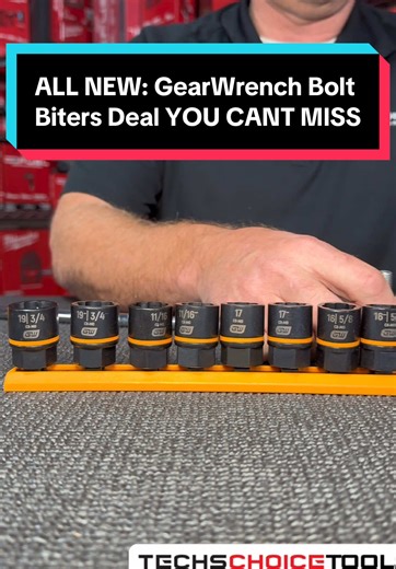 Affordable GearWrench Bolt Biters Set for Mechanics